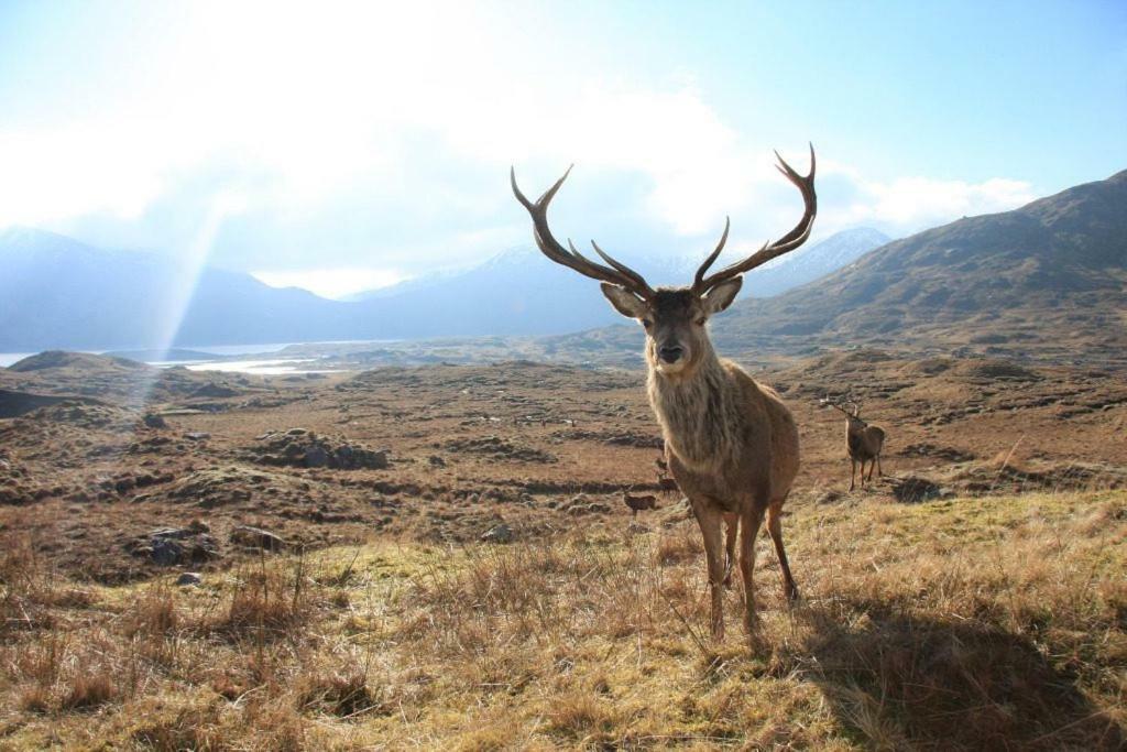 Glencroft A Fairytale Highland Cottage Aberfeldy Εξωτερικό φωτογραφία